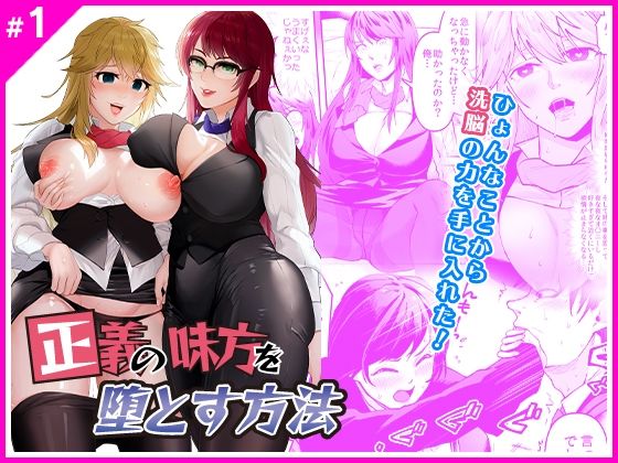 d 211837pl - 正義の味方を堕とす方法【マリアライト】