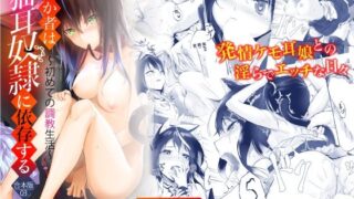 d 219209pl 320x180 - 愚か者は猫耳奴●に依存する〜初めての調教生活〜 合本版3【Ziggurat】