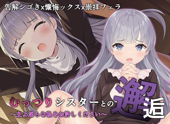 d 219223pl - むっつりシスターとの邂逅【A-CUP】