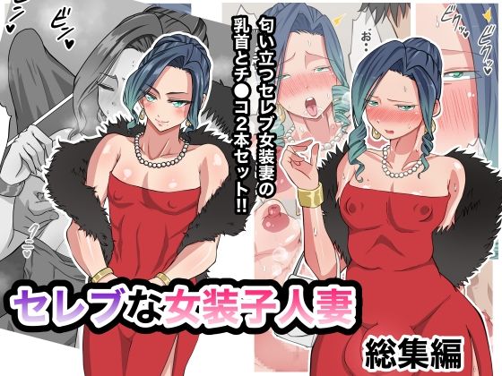 d 221224pl - セレブな女装子人妻 総集編【ダンパチーノ】