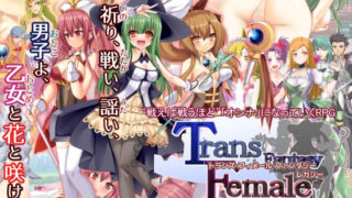d 224982pl 320x180 - トランス・フィメール・ファンタジー レガシー【6colors】
