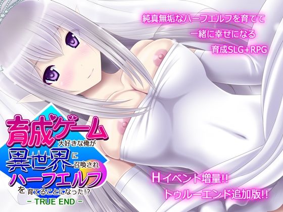 d 228343pl - 育成ゲーム大好きな俺が異世界に召喚されハーフエルフを育てることになった！？ -TRUE END-【不透明Z】