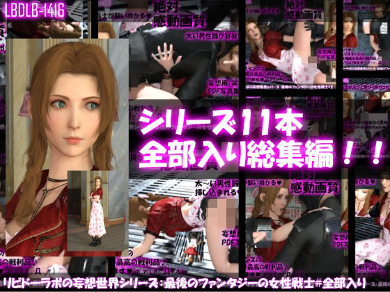 d 233795pl - 【△500●500】リビドーラボの妄想世界シリーズ:最後のファンタジーの女性戦士（11本全部入り総集編）【Libido-Labo】