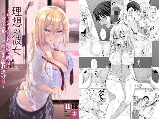 d 253571pl - 理想の彼女〜ちょろカワお嬢様・紗良とラブホテルでとろあま濡れ透けH〜【まりも屋】