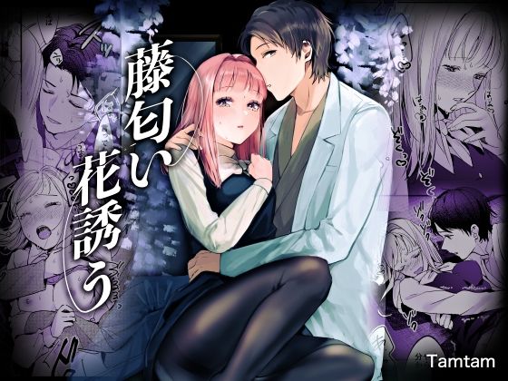 d 260748pl - 藤匂い花誘う【Tamtam】