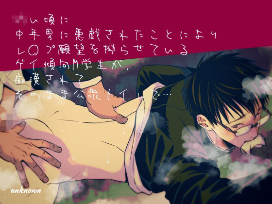 d 266547pl - ◯い頃に中年男に悪戯されたことによりレ〇プ願望を拗らせているゲイ傾向M学生が、痴●されてそのまま公衆トイレで…【アンノウン】