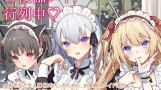d 269605pl 320x180 - お夜伽メイド行列中！【Leonids】