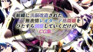 d 271114pl 320x180 - 組織に洗脳改造された無表情レオタード格闘娘をひたすら調整していくだけのCG集【黒豆だいふく】