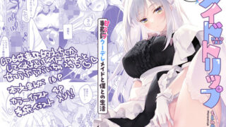 d 281118pl 320x180 - メイドトリップ【FRAC】