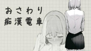 d 288915pl 320x180 - おさわり痴●電車【むくどりGames】