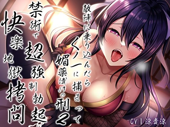 d 298030pl - 敵陣に乗り込んだらくノ一に捕まって媚薬’漬け’の刑2〜禁術で超強●勃起快楽地獄拷問〜【あまとろすいーつ】