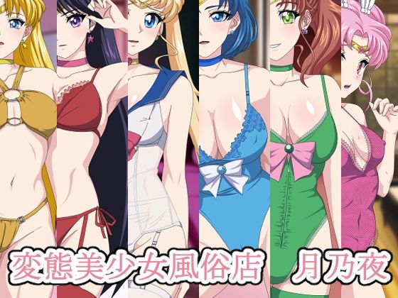 d 314199pl - 変態美少女風俗店_月乃夜（総集編【デジタルワイフProject】