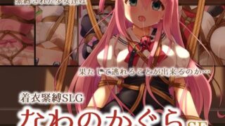 d 316155pl 320x180 - 着衣緊縛SLG なわのかぐらSE【村雲茶屋】