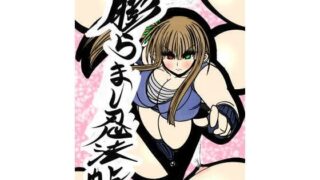 d 319900pl 320x180 - 膨らまし忍法帖第一幕【ふくらみんと】