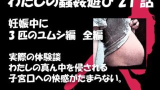 d 322947pl 320x180 - 私の蟲姦遊び 21 話 妊娠中に3匹のユムシ編 全編【シングルママの日常】