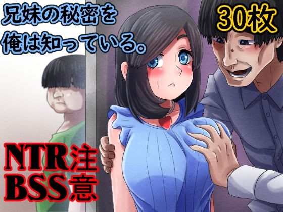 d 325783pl - 兄妹の秘密を俺は知っている。【むーふぁ】