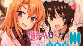 d 335768pl 320x180 - 晴ちゃんは思春期総集編3【Sweet  Avenue】