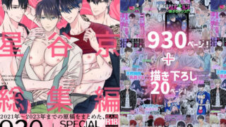 d 338674pl 320x180 - 星谷京 総集編 Vol.1【星谷京】