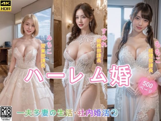 d 346937pl - ハーレム婚●一夫多妻の生活●社内婚活 2【AIDOLL】