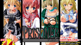 d 360920pl 320x180 - プリズナー〜てんこ盛り完全版〜【豪華5特典】【Sage】