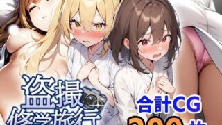 d 410172pl 320x180 - 盗撮修学旅行【フェアリーソフト】
