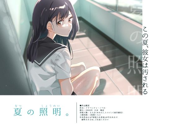 d 422194pl - 夏の照明。【ふじきの】