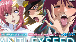 d 424331pl 320x180 - ANTI EXSEED 〜Special Edition〜【IP】
