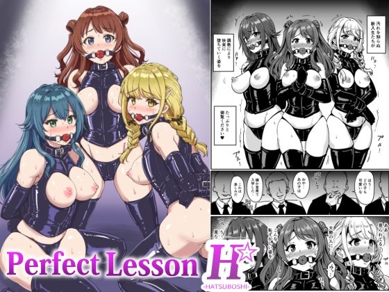 d 435671pl - PerfectLessonH【みりおんらぶ】
