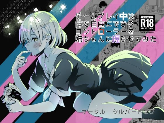 d 440252pl - ゲームプレイ中は体を自由にできるコントローラーを姉ちゃんに握らせてみた【シルバードッグ】