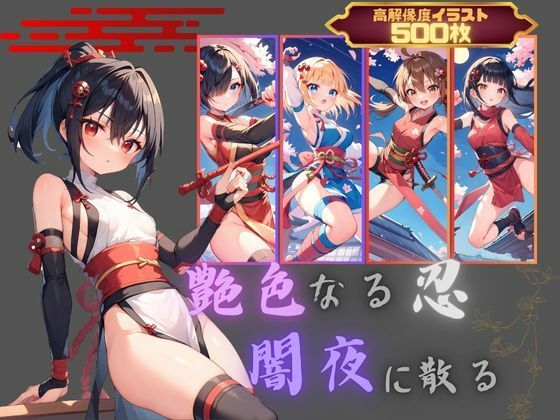 d 445285pl - 艶色なる忍、闇夜に散る【むほー地帯】