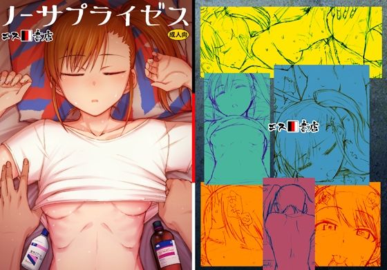 d 455022pl - ノーサプライゼス【エス書店】