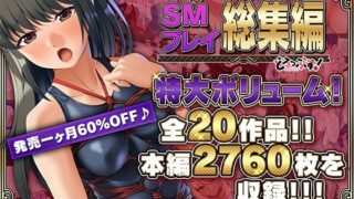 d 458354pl 320x180 - 【超豪華版】SMプレイ 総集編【どろっぷす！】【どろっぷす！】