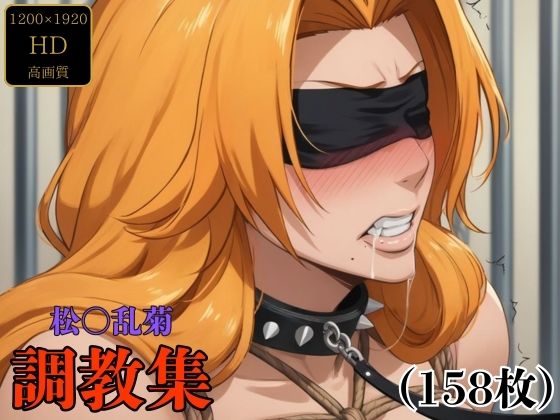 d 480133pl - 松〇乱菊  調教集【調教師】