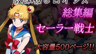 d 481171pl 320x180 - 放課後ヒロインズ総集編 セーラー戦士【ヒロイン turbo type D】