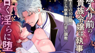 d 487467pl 320x180 - 嫁入り前の貴族令嬢は執事と甘く淫らに堕つ〜花嫁になるまでの10日間幼馴染執事からの甘い調教〜【にゃんこたつ】