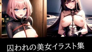 d 512589pl 320x180 - 囚われの美女イラスト集【ろんろん】