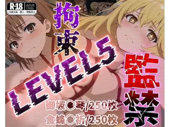 d 512999pl - 監禁拘束LEVEL5【フルカラー500枚】【ガーネット】