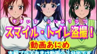 d 513745pl 320x180 - すまいるトイレ盗撮【幻酔腐】