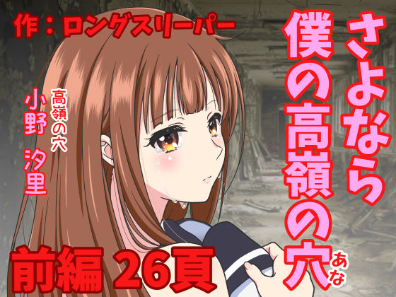 d 516392pl - さよなら僕の高嶺の穴  前編【ロングスリーパー】
