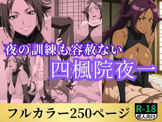 d 520000pl - 夜の訓練も容赦ない四楓院夜一【鈴花アート】