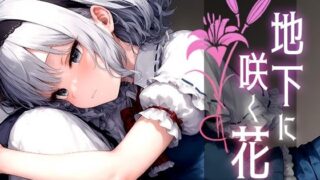 d 520810pl 320x180 - 地下に咲く花 -Bloom of Abyss- vol.1【Touchひろし】