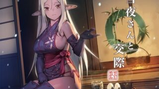 d 532035pl 320x180 - 雪夜さんと交際 〜ダークエルフ忍さんといちゃラブご奉仕生活〜【めがみそふと】