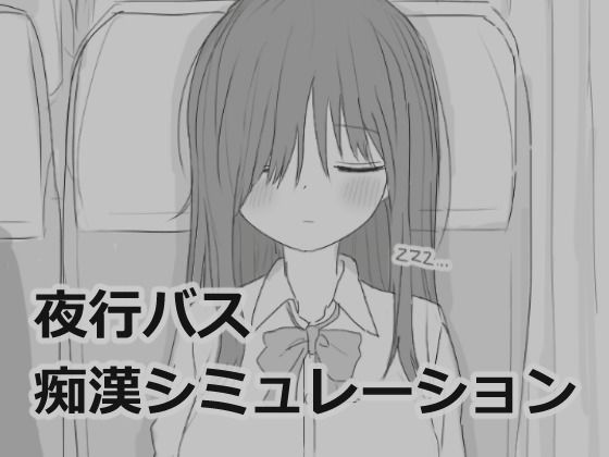 d 532880pl - 夜行バス痴●シミュレーション【エロフラ部】