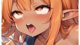 d 537534pl 320x180 - elf girl no.93【ネロンソフト】