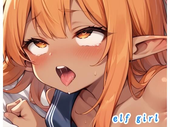d 537534pl - elf girl no.93【ネロンソフト】