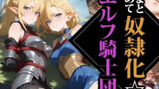 d 541191pl 320x180 - まとめて奴●化☆エルフ騎士団【ココナッツパンチS】