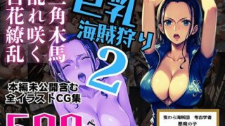 d 552607pl 320x180 - 巨乳海賊狩り 2 番外編 〜三角木馬乱れ咲く百花繚乱〜 本編未公開含む全イラストCG集 500ページ【ピンク堂書店】