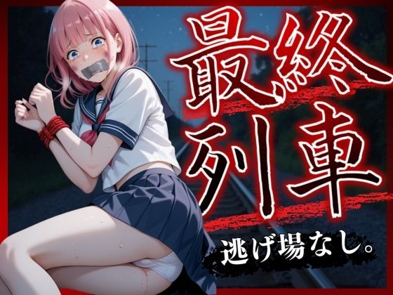 d 571494pl - 最終列車 Vo.2【らりるれろ】