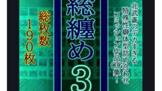 d 572004pl 320x180 - 総纏め3【北武堂】