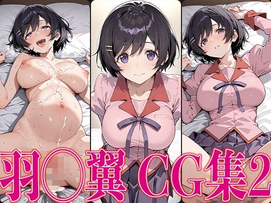d 575562pl - 物◯シリーズ 羽◯翼 エロCG集の2【かみのみゃ】